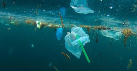 Cuáles son las alternativas a las pajitas de plástico? ¿Cómo afecta el uso  de pajitas de plástico al medio ambiente?